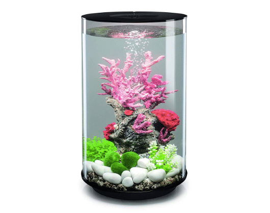 Quel nano aquarium choisir ?