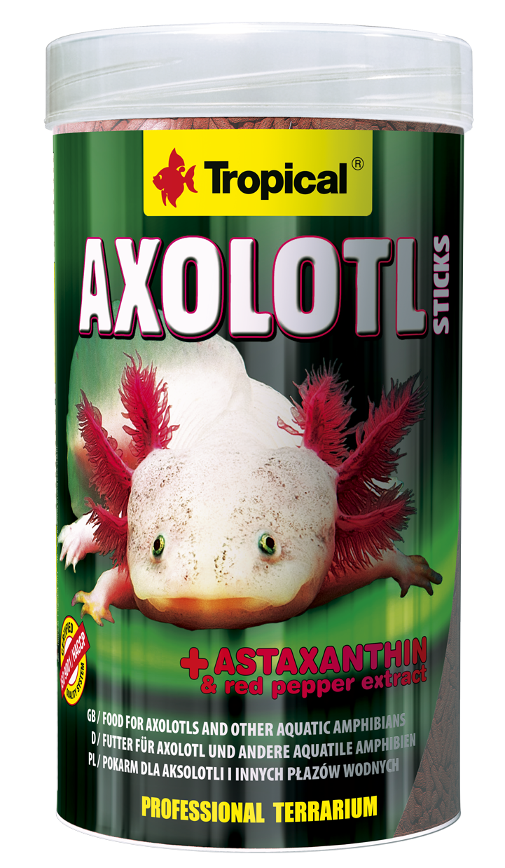Comment nourrir un axolotl ?