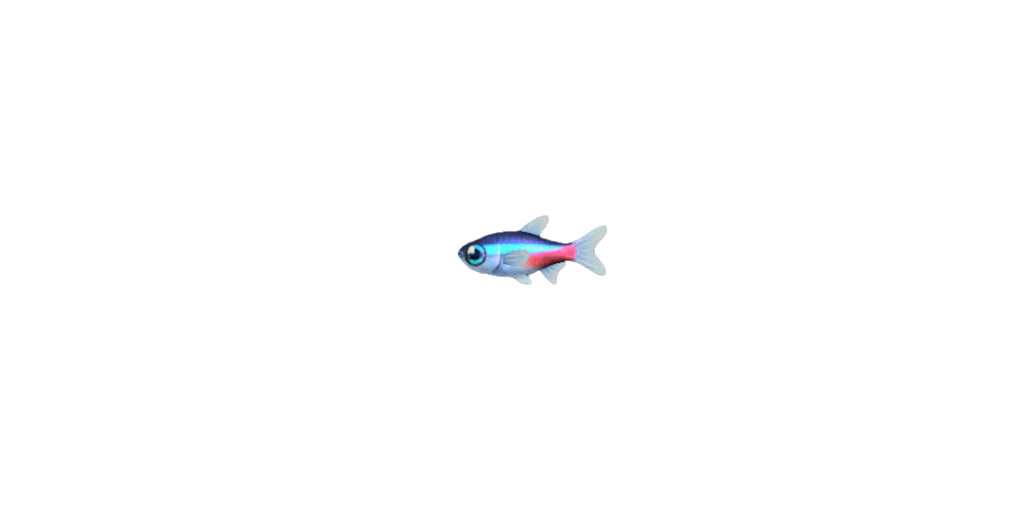 Quel poisson mettre avec des néon bleu ?